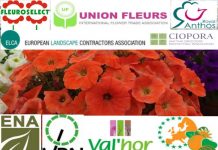 Wspólny głos o pomoc dla branży roślin ozdobnych