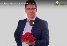 Uprawa rzodkiewki i sałaty w sezonie 2020 – VIDEO