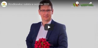 Uprawa rzodkiewki i sałaty w sezonie 2020 – VIDEO