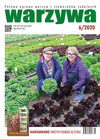 Warzywa numer 6/2020 - okładka