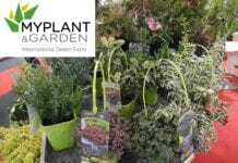 Targi Myplant & Garden dopiero w lutym 2022 r.