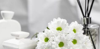 ’Ilonka’ – nowa gwiazda