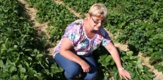 Poprawić jakość, zwiększyć konsumpcję