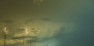 Nagroda za innowacje dla kobiet w rolnictwie