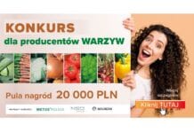 “W jak Warzywa” – konkurs dla producentów warzyw. Zgarnij cenne nagrody!