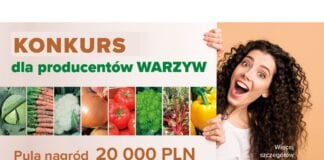 “W jak Warzywa” – konkurs dla producentów warzyw. Zgarnij cenne nagrody!