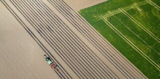 ecovio® M – rozwiązanie dla biodegradowalnych folii ściółkujących – niezawodnych w każdym gospodarstwie