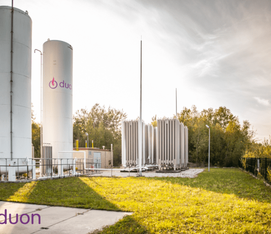 Kogeneracja w szklarni, to nie tylko ogrzewanie i oświetlenie, to strzał w dziesiątkę