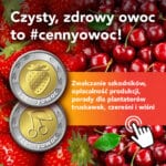 Zadbaj o #cennyowoc. Ruszyła kampania dla producentów upraw sadowniczych