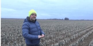 Jaka jest kondycja pora zimującego w gruncie? [VIDEO]