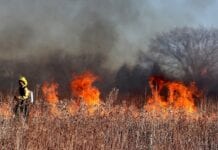 Wypalanie traw grozi nie tylko utratą dopłat!