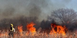 Wypalanie traw grozi nie tylko utratą dopłat!