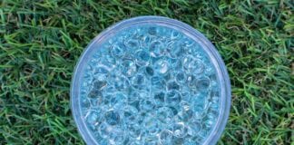 Jak radzić sobie z suszą? Wypróbuj hydrożel ogrodniczy