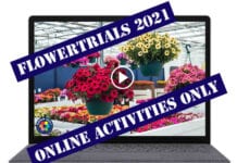 Tegoroczna edycja FlowerTrials® odwołana