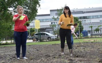 Bayer i Siemens wspólnie wspierają bioróżnorodność w lokalnej skali