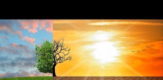Zmiany klimatu a reakcja UE