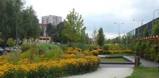 ZIELONE MIASTO EUROPY