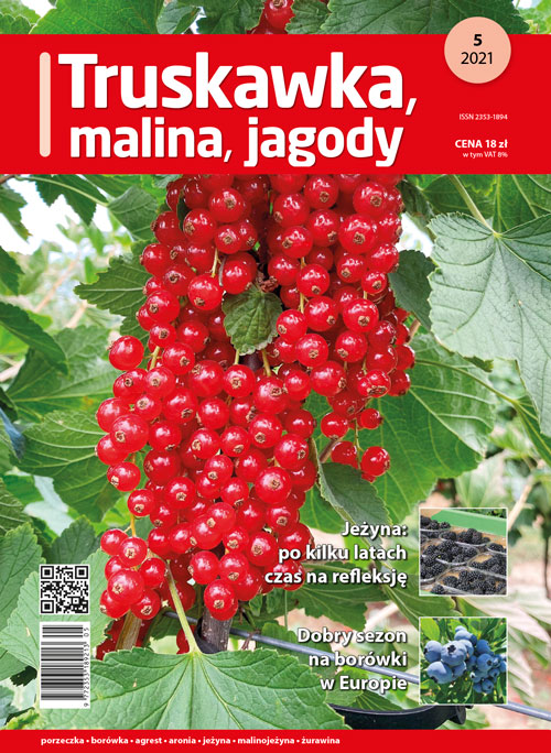 Truskawka malina jagody - nr 5/2021 - okładka