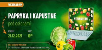 Wysoki plon doskonałej jakości – papryka i warzywa kapustne pod osłony