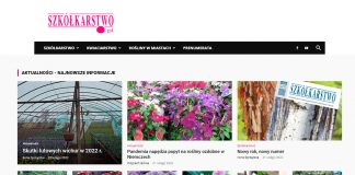 Rozwijamy nowy portal