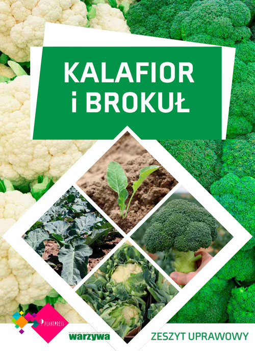 Kalafior i brokuł - zeszyt uprawowy