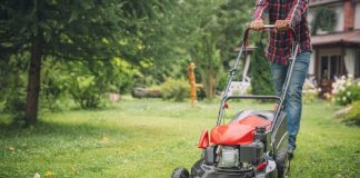 Narzędzia do ogrodu: przegląd elektrycznych urządzeń do pielęgnacji roślin i nie tylko