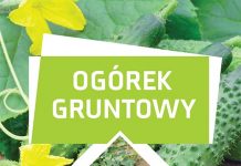 Ogórek gruntowy – Zeszyt Uprawowy NOWOŚĆ