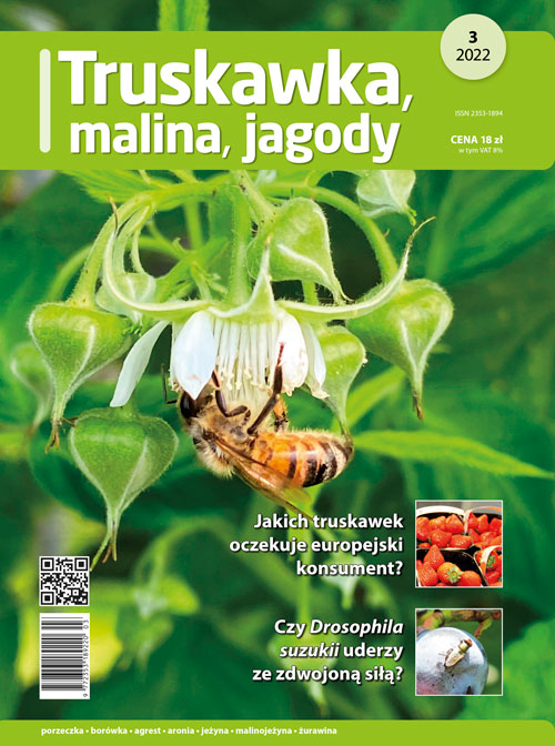 Truskawka malina jagody nr 3/2022 - okładka