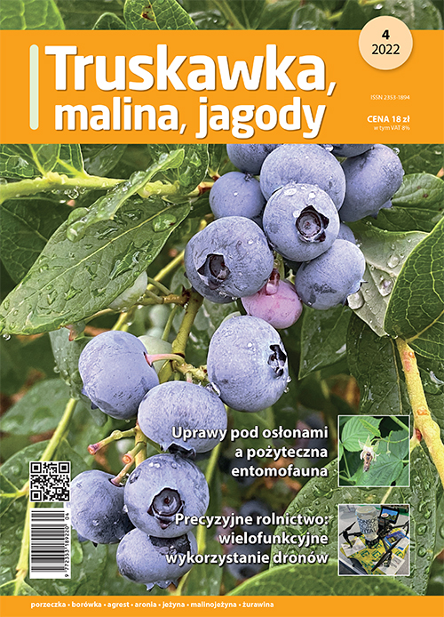 Truskawka malina jagody nr 4/2022 - okładka