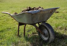 Obornik granulowany – nawóz do wszystkiego, nawet trawnika! Sprawdź czy dobrze go stosujesz