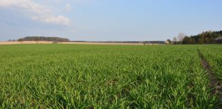Ile pieniędzy dostaną rolnicy w ramach ekoschematów? – zaproszenie na webinarium 28.10.2022