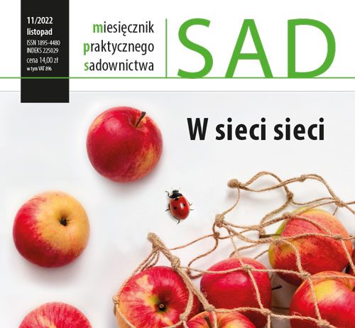 Miesięcznik Praktycznego Sadownictwa SAD 11/2022 MPS Sad nr 11/2022