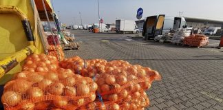 Aktualne ceny warzyw na podwarszawskim rynku hurtowym Bronisze [07.11.2022]