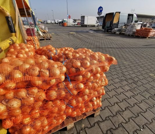 Aktualne ceny warzyw na podwarszawskim rynku hurtowym Bronisze [07.11.2022]