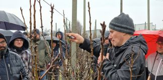 Za nami trzecie spotkanie Klubu Gruszowego