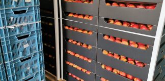 Nadal nie ma ani pieniędzy, ani kontaktu z właścicielem firmy