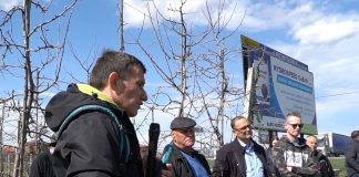 Zapisz się na pokazy cięcia jabłoni w Sandomierzu – 2 lutego 2023