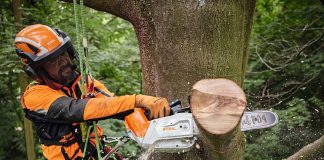 Pilarka Akumulatorowa Stihl do pielęgnacji drzew