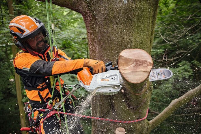 PILARKA AKUMULATOROWA STIHL DO PIELĘGNACJI DRZEW