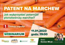 Patent na MARCHEW. Zaproszenie na webinarium [11.01.2023 r.]