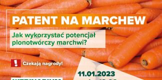 Patent na MARCHEW. Zaproszenie na webinarium [11.01.2023 r.]