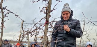 Korekta ręczna Gali po cięciu mechanicznym – Marcin Piesiewicz, Usarzów [Video]