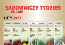 SADOWNICZY TYDZIEŃ ON-LINE – 12-18 lutego 2023. Spotykamy się codziennie o godz. 19.00