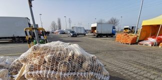 Jak aktualnie przedstawiają się ceny warzyw korzeniowych? [15.02.2023]