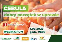 Cebula – dobry początek w uprawie. Zaproszenie na webinarium [1.03.2023 r.]