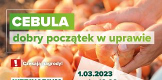 Cebula – dobry początek w uprawie. Zaproszenie na webinarium [1.03.2023 r.]
