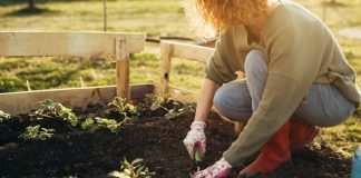 Jak polepszyć jakość ziemi w ogrodzie? O nawożeniu ziemi ogrodowej