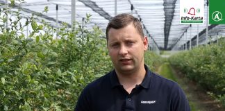 Komunikat dla borówek – Tomasz Domański, Agrosimex, 06.06.2023