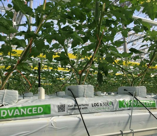 Maty uprawowe Growbag ADVANCED od Klasmann-Deilmann