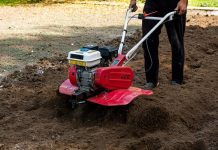 Glebogryzarka spalinowa czy elektryczna? Zobacz, którą lepiej wybrać